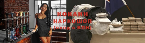 СК Касимов