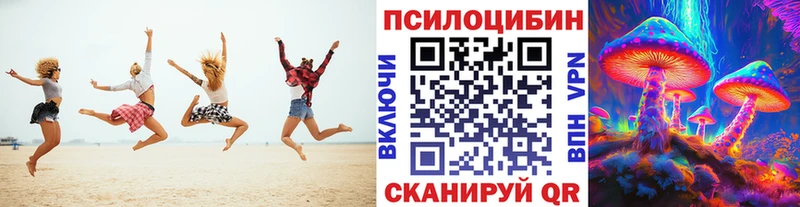 Купить где  Яхрома  Галлюциногенные грибы мицелий 