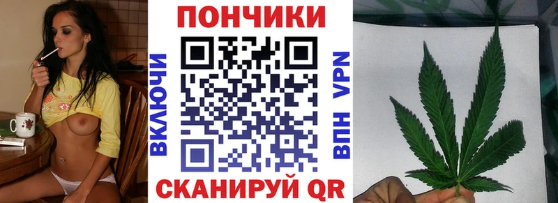Купить где  Яхрома  Бошки Шишки гибрид 